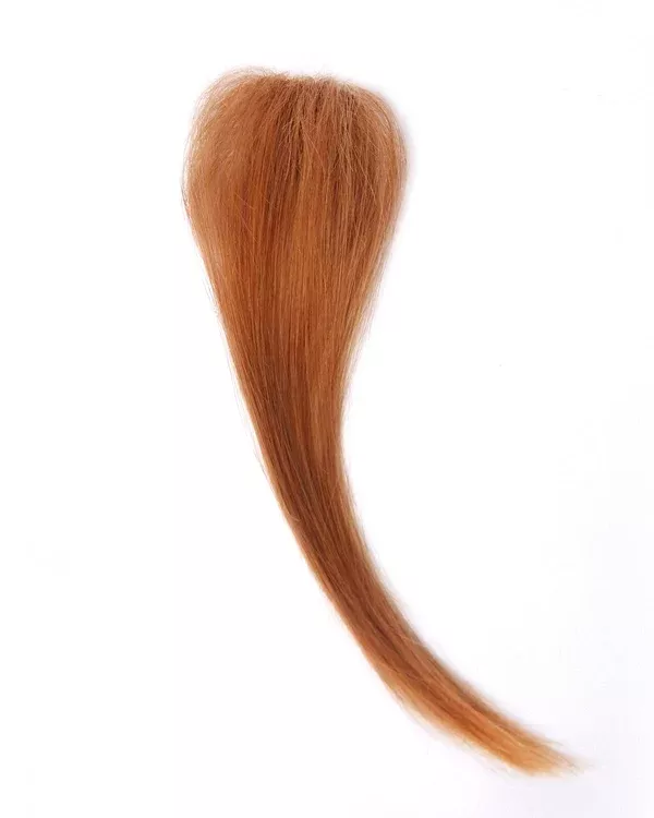 313A | Add-On Clip-in Human Hair Extension by Wig Pro