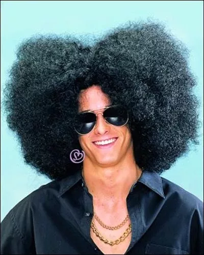 70s Freak | Costume Wig by Franco