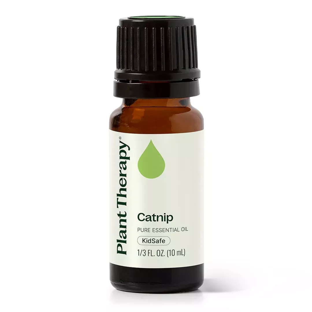 Catnip Essential Oil