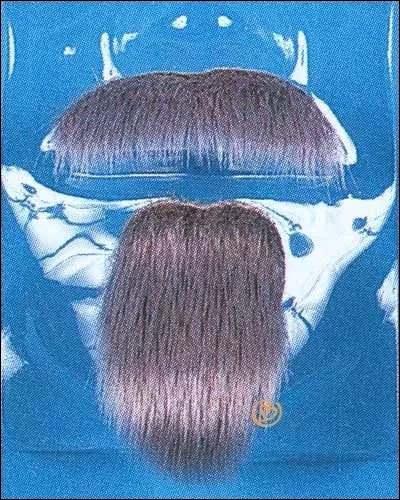 Charmeur Beard & Moustache | by Franco