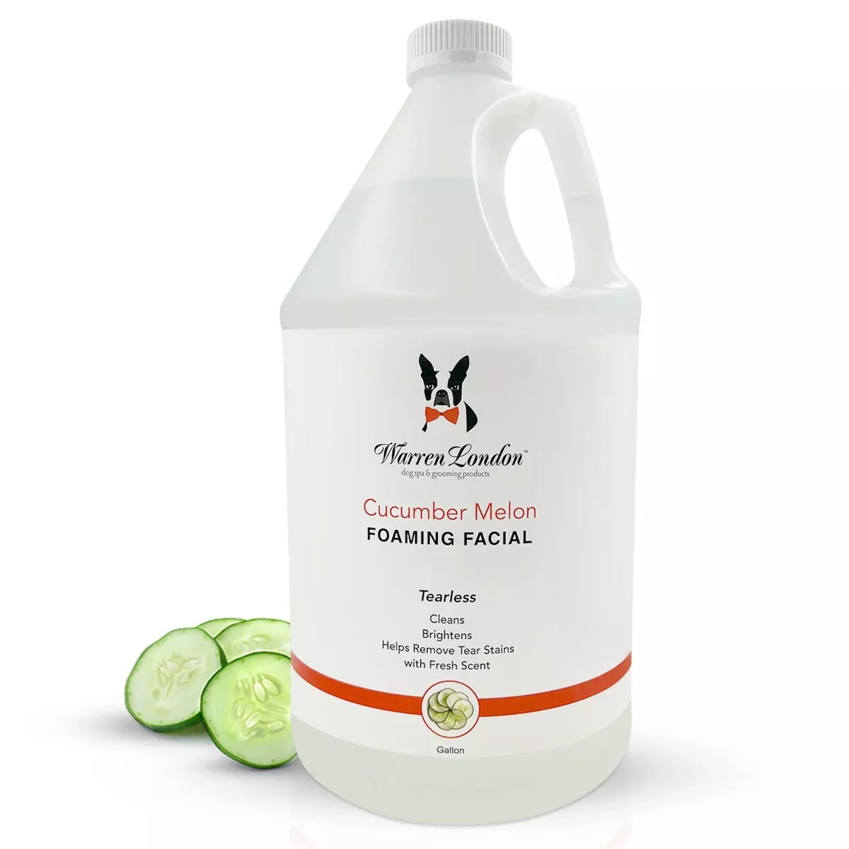 Cucumber Melon Foaming Facial – Professional Size – Refill