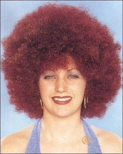 Disco Afro | Costume Wig by Franco