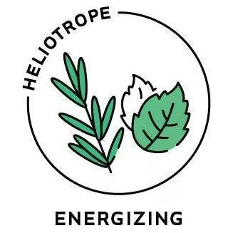 Essential Oil Blend Energizing (Rosemary Mint)