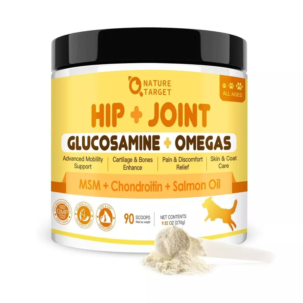 Glucosamine HCl 600mg + MSM 400mg + Salmon Oil + Green Lipped Mussel, Hip & Joint Powder, Salmon Flavor, 90 Scoops