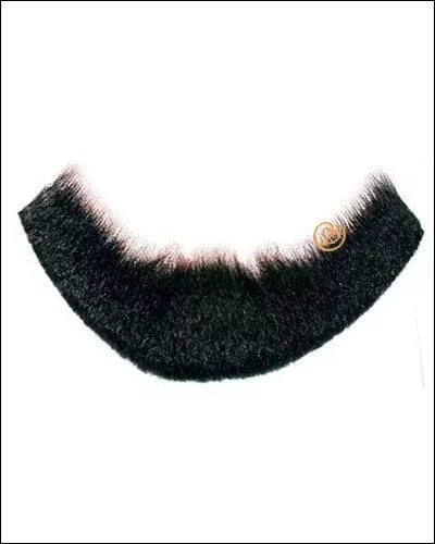 Lincoln Beard | by Franco