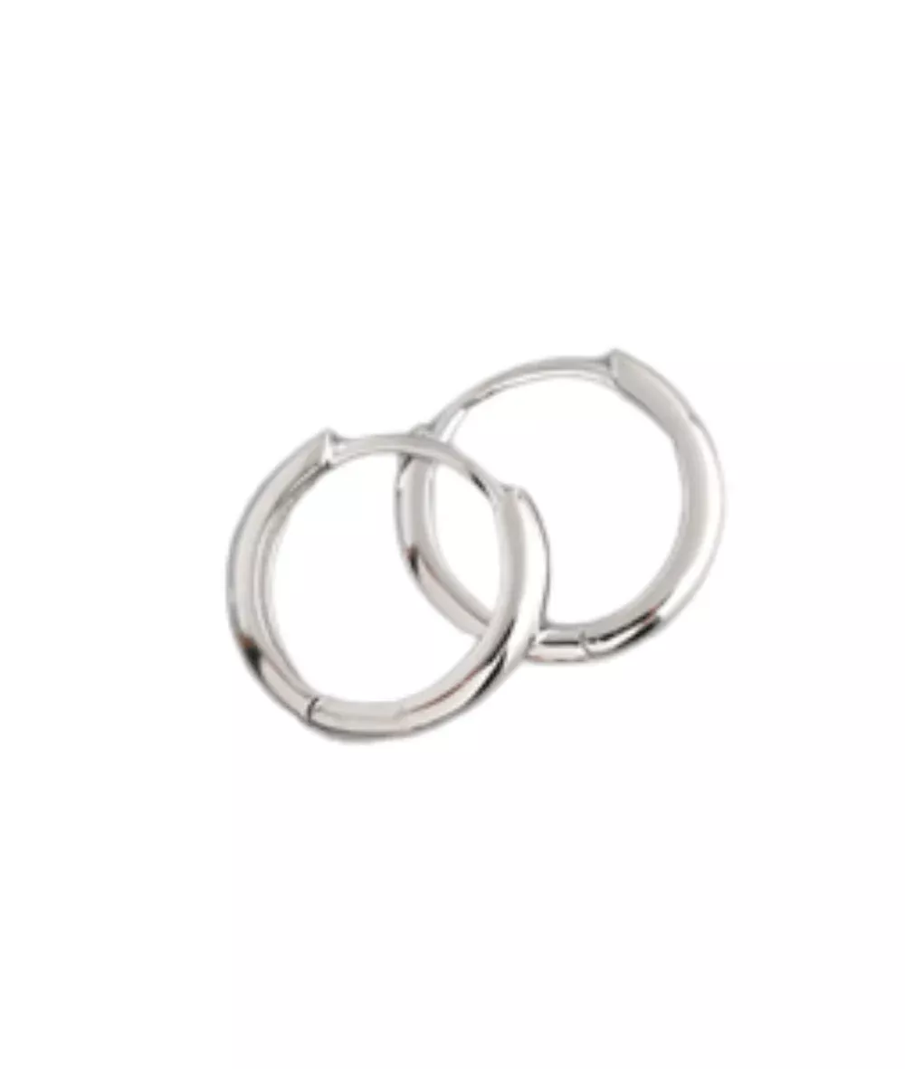 Nude Rose Stainless Steel Silver Hoop Earrings