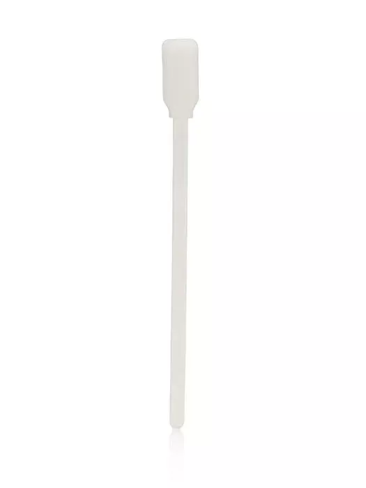 Sponge Brushes (12 Count)