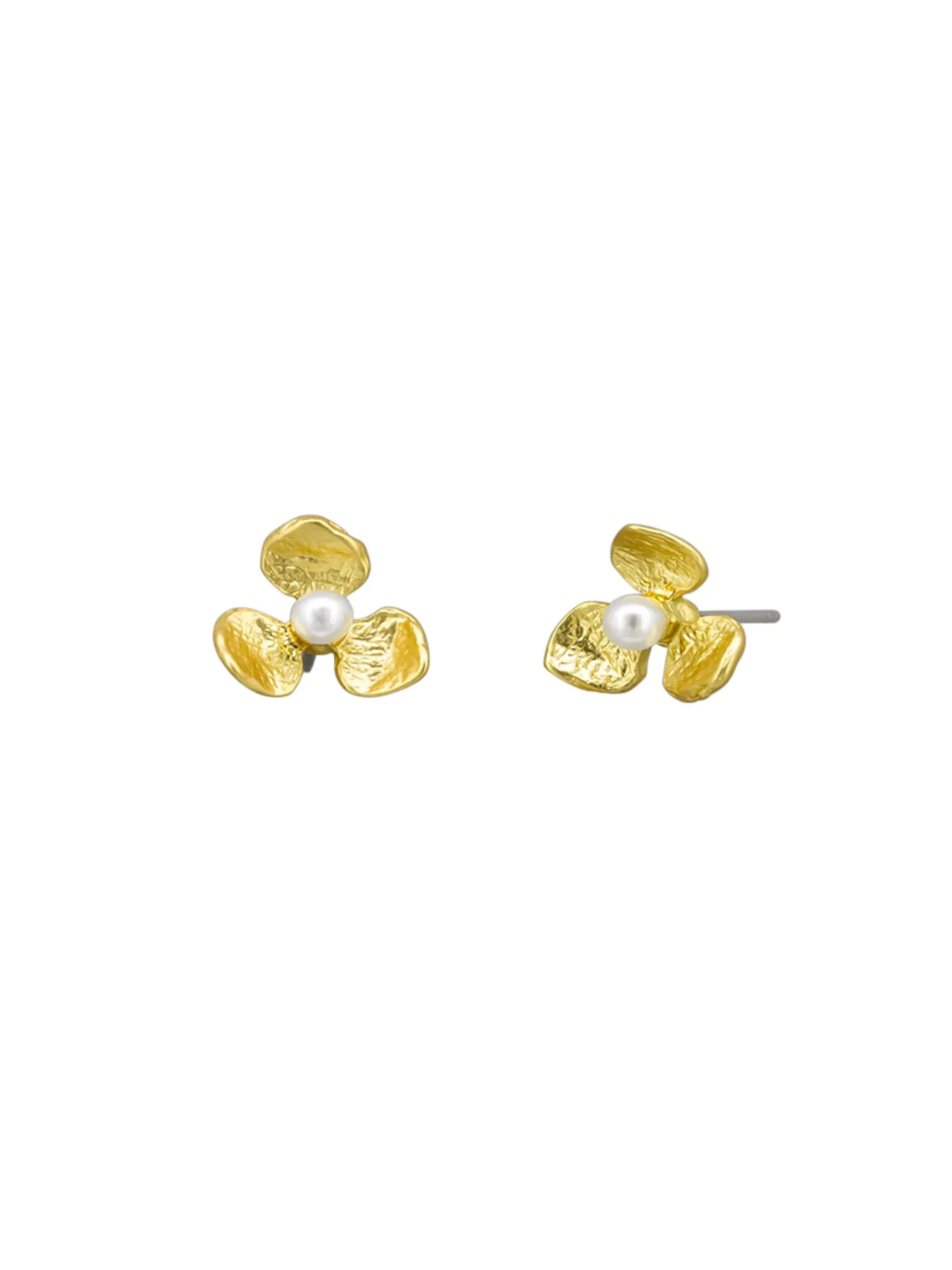 Tiger Tree Azalea Flower Earrings Gold