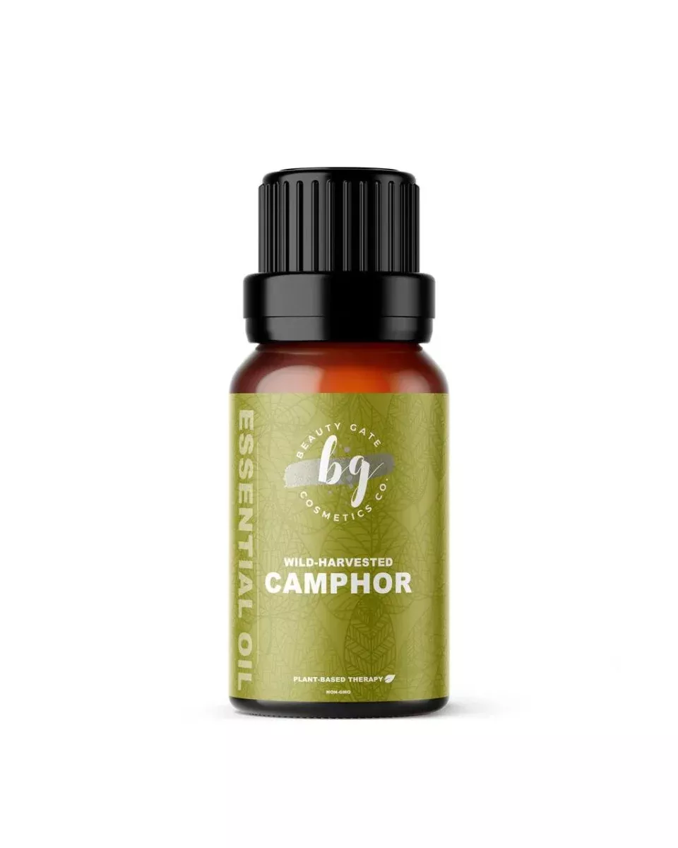 Wild-harvest Camphor Essential Oil (Cinnamomum camphora) Cooling and Clarifying Aromatherapy